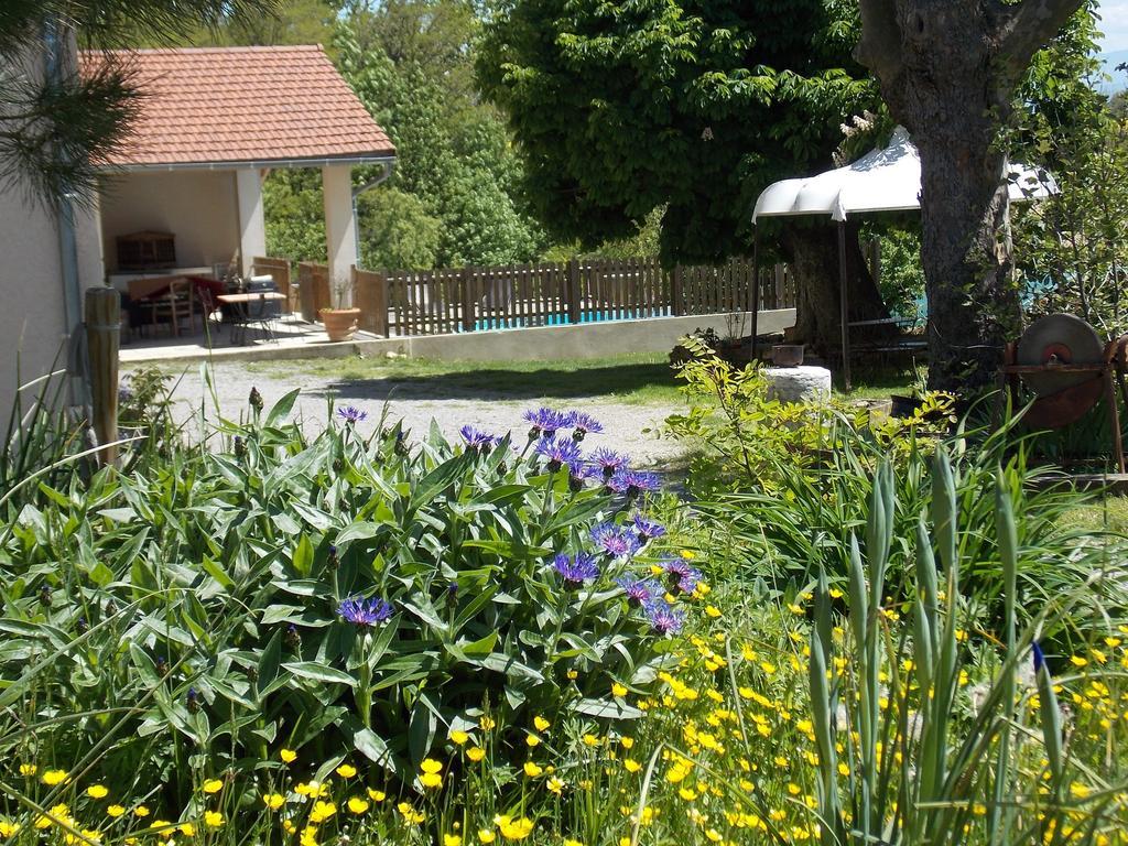A La Mare Du Vieux Chene Bed & Breakfast Bellegarde-Poussieu Eksteriør bilde
